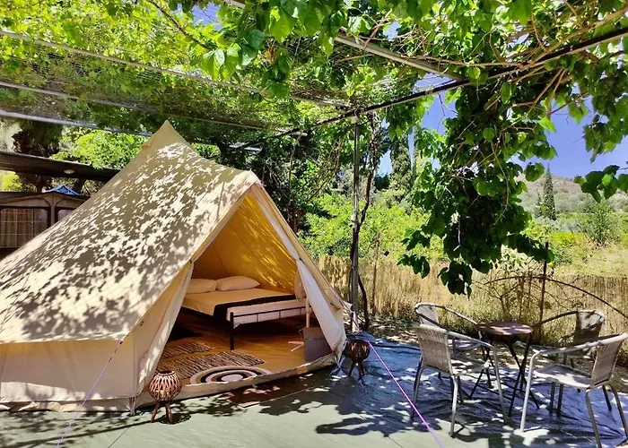 Xenicamp-Retreat